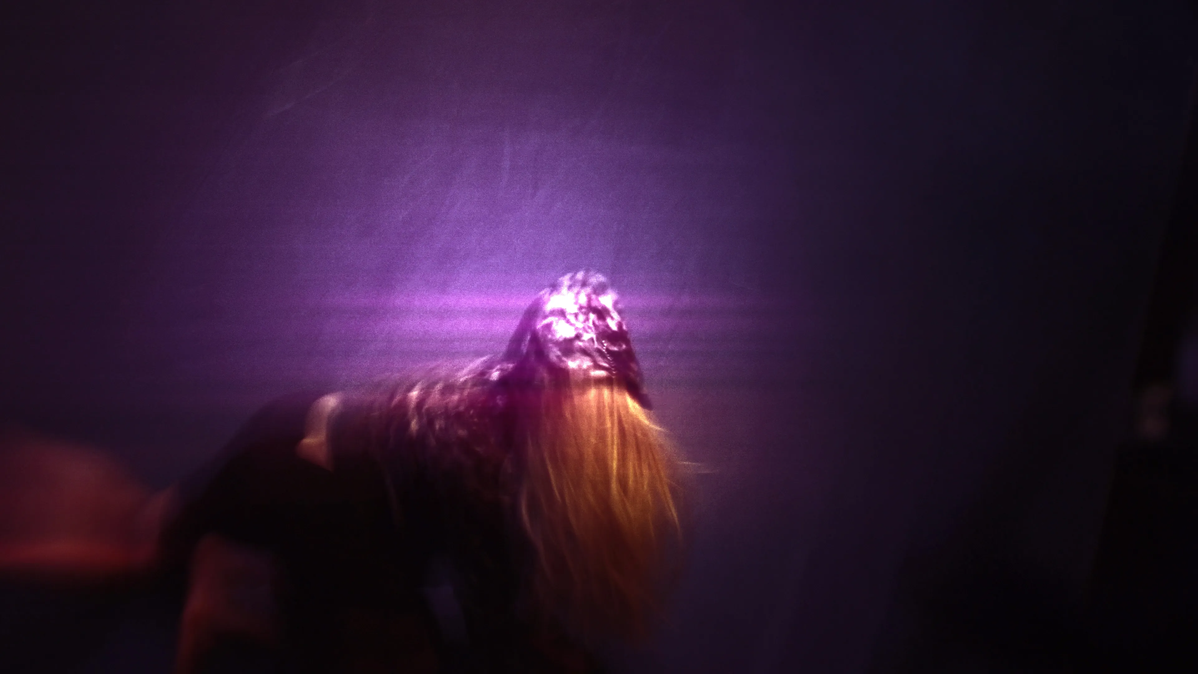 BBFF, photograph from the week